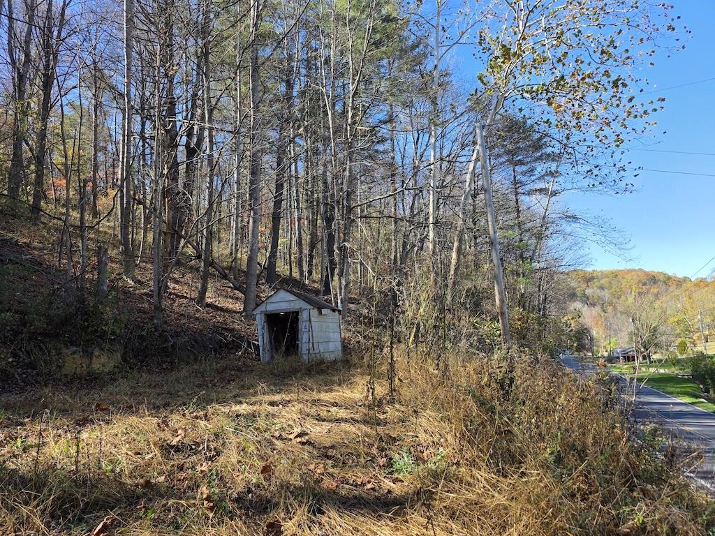 Tbd Pilot Road Riner VA 24149