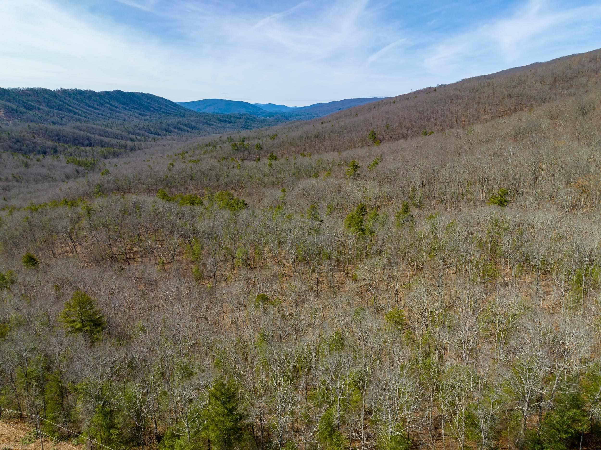 Tbdlot5 N Sunset Lane Bland VA 24315