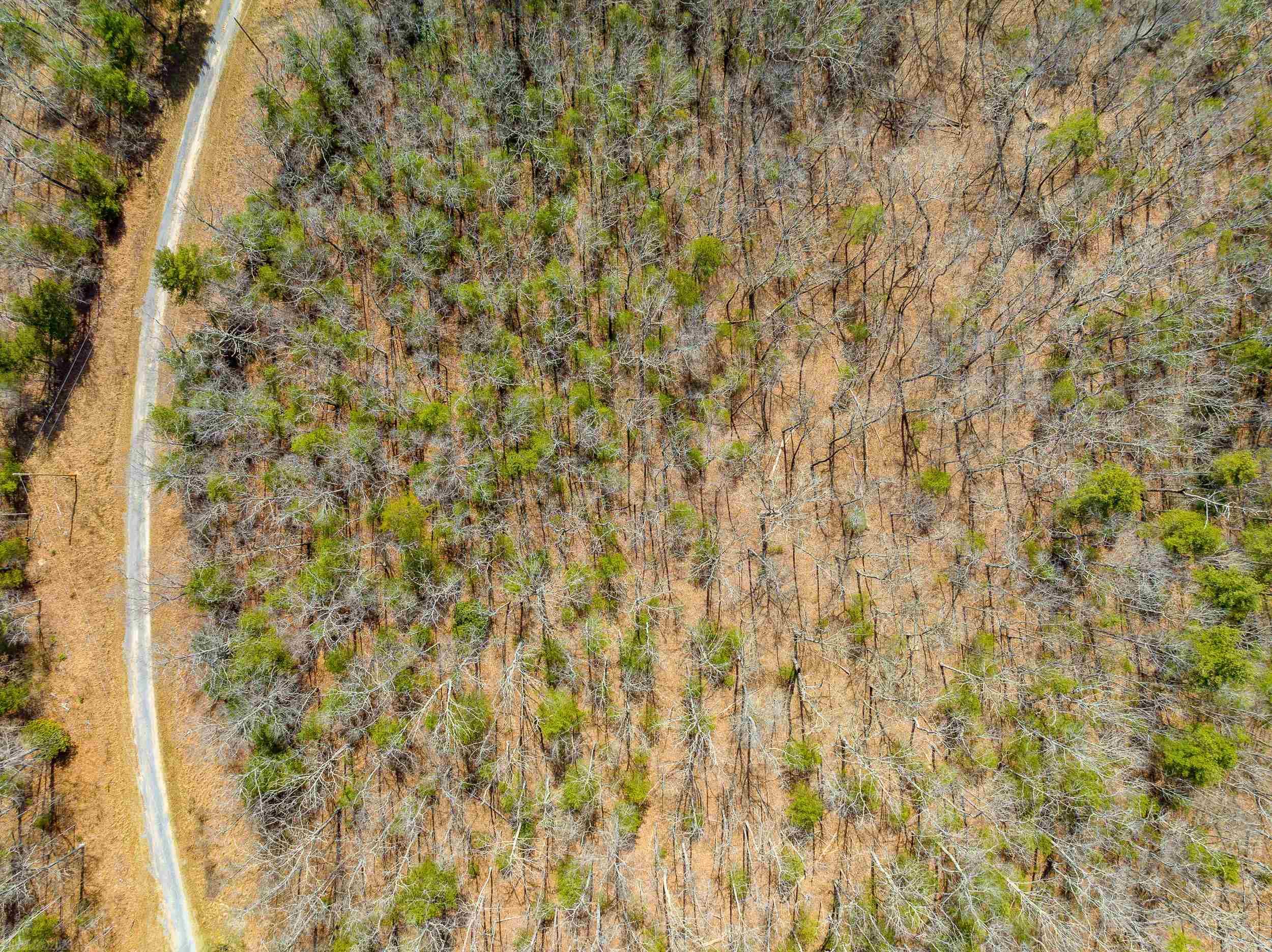 Tbdlot5 N Sunset Lane Bland VA 24315