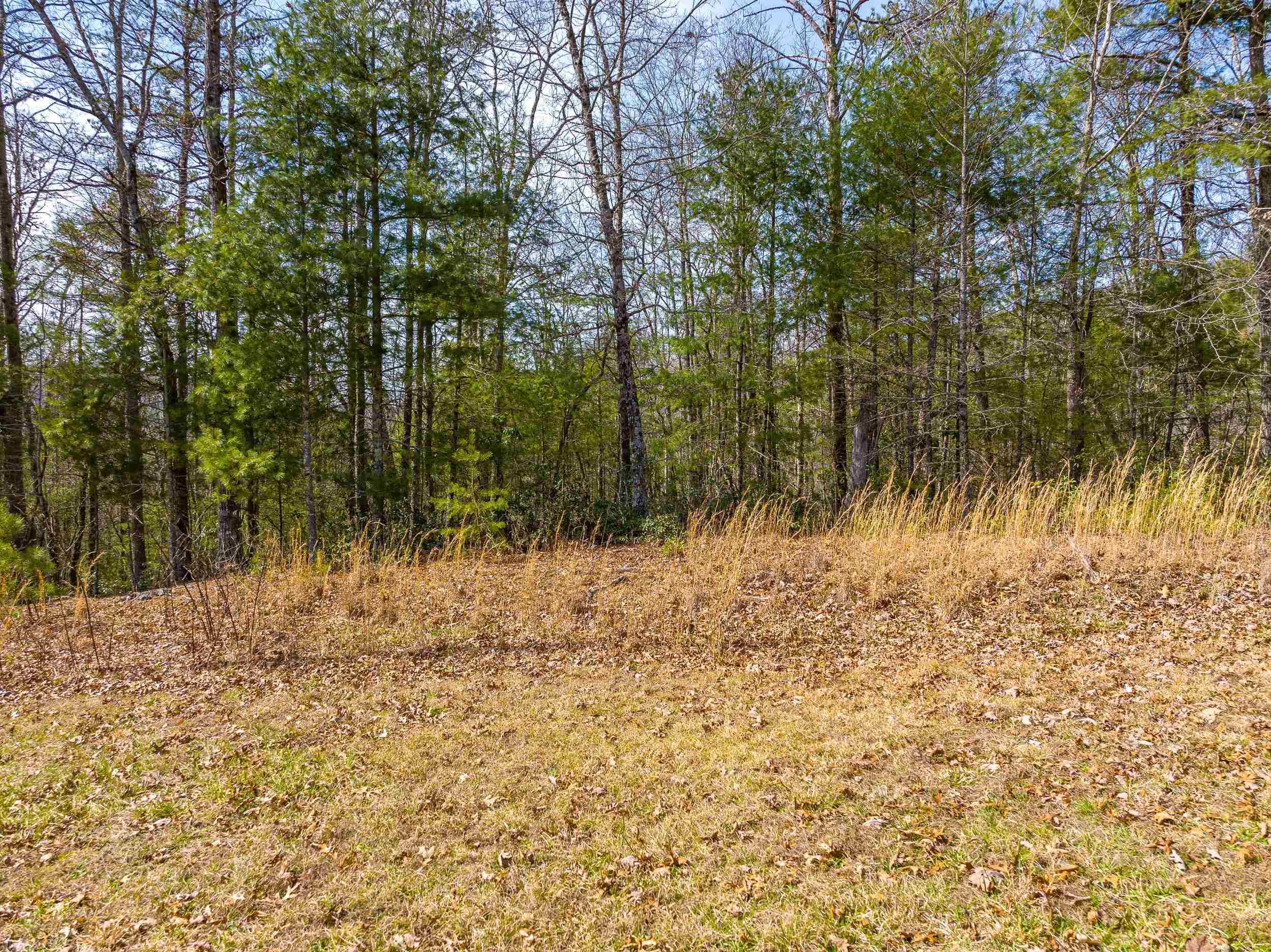 Tbdlot5 N Sunset Lane Bland VA 24315