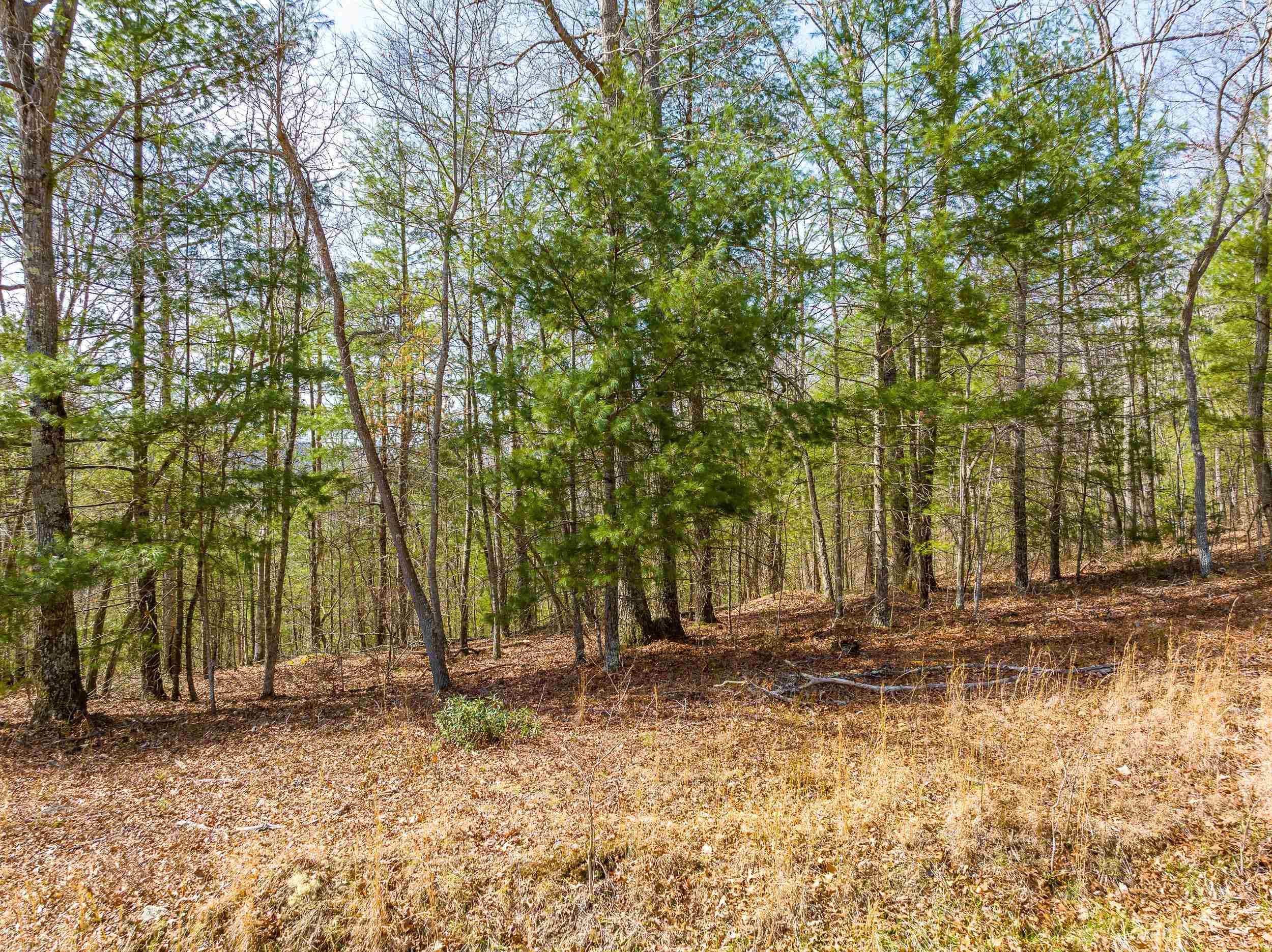 Tbdlot5 N Sunset Lane Bland VA 24315