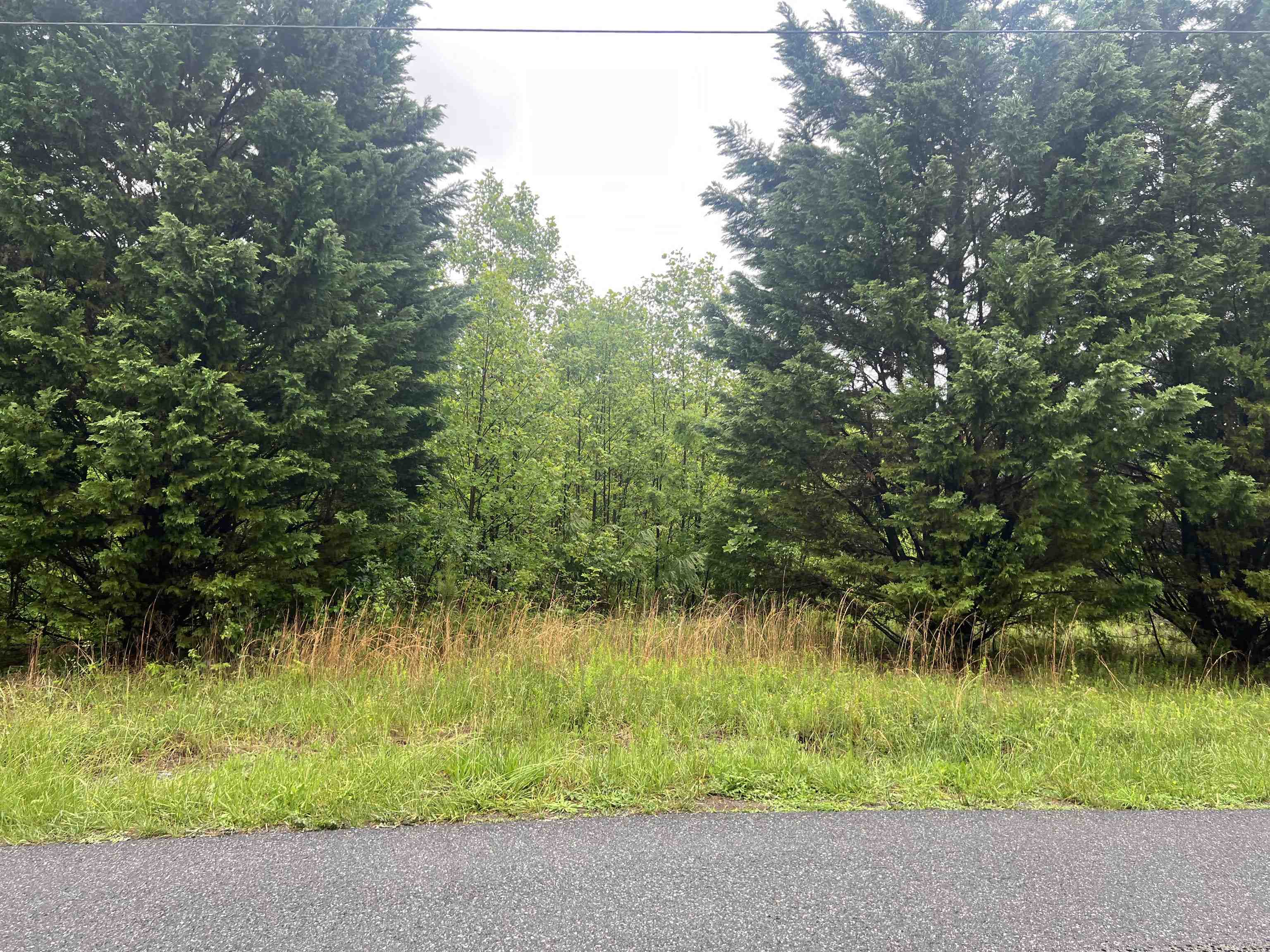 Tbd Nemmo Road Vinton VA 24179