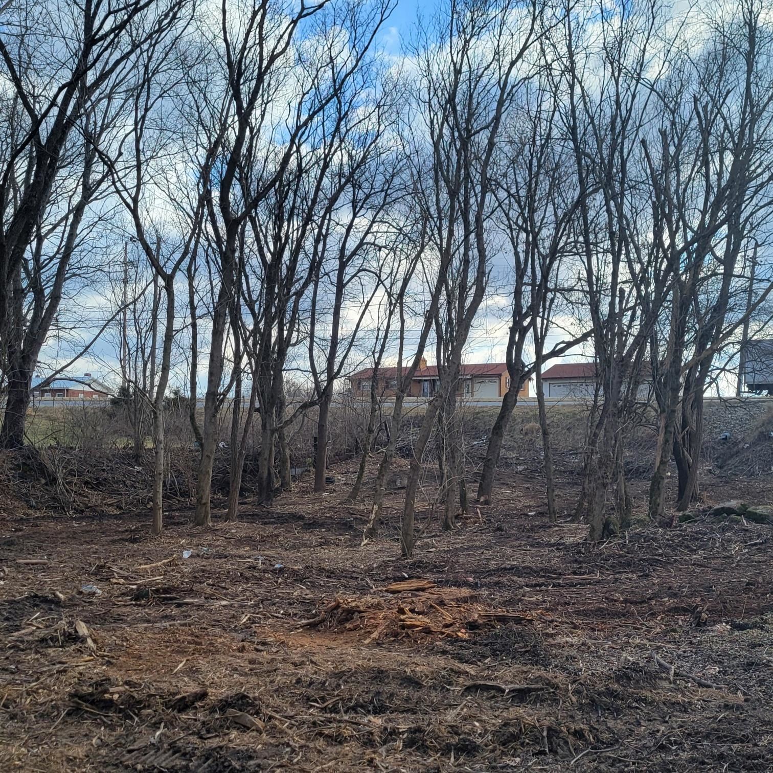 Tbd Lee Highway Fairlawn VA 24141