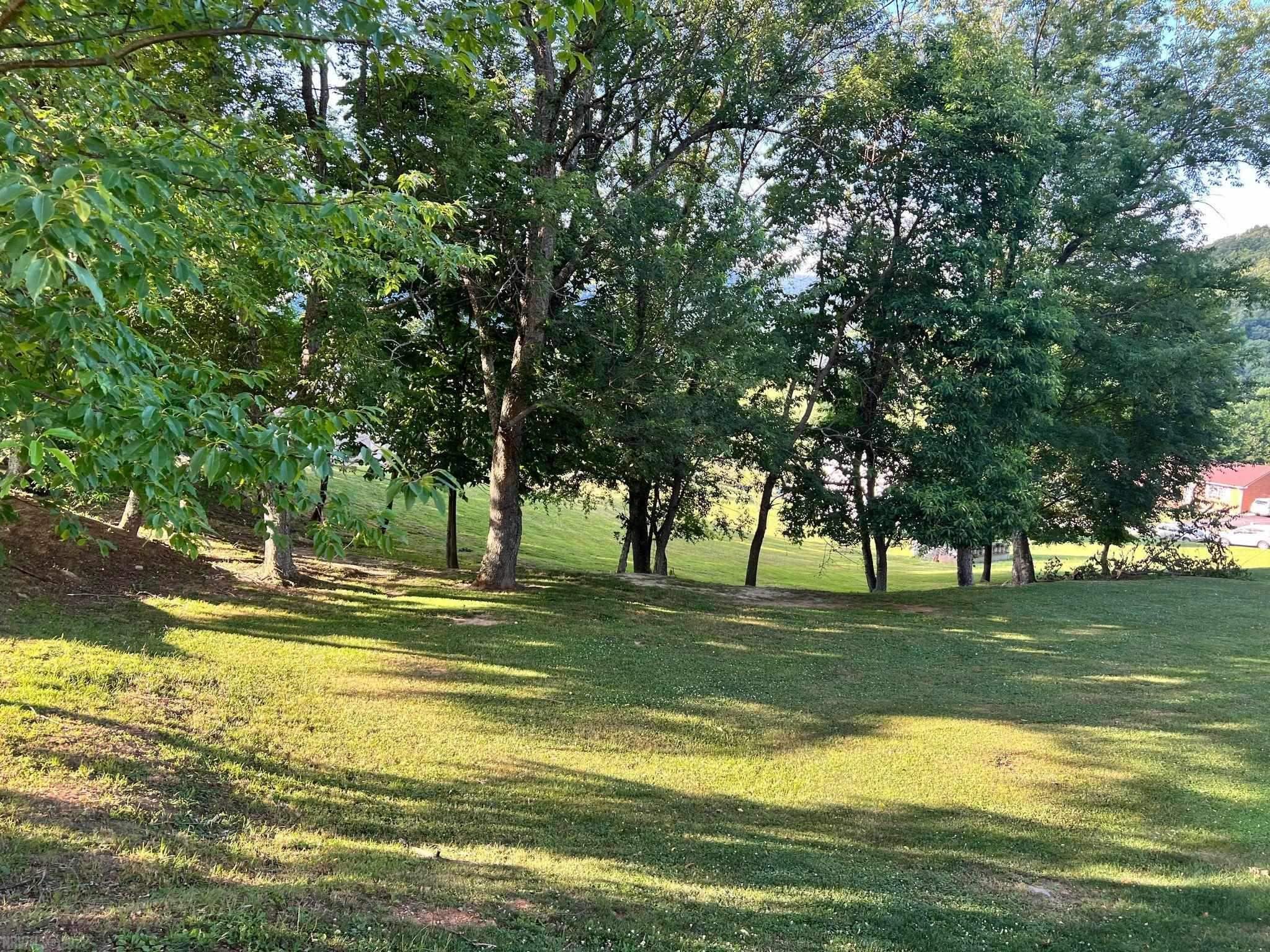 Tbd Sentinel Drive Narrows VA 24124