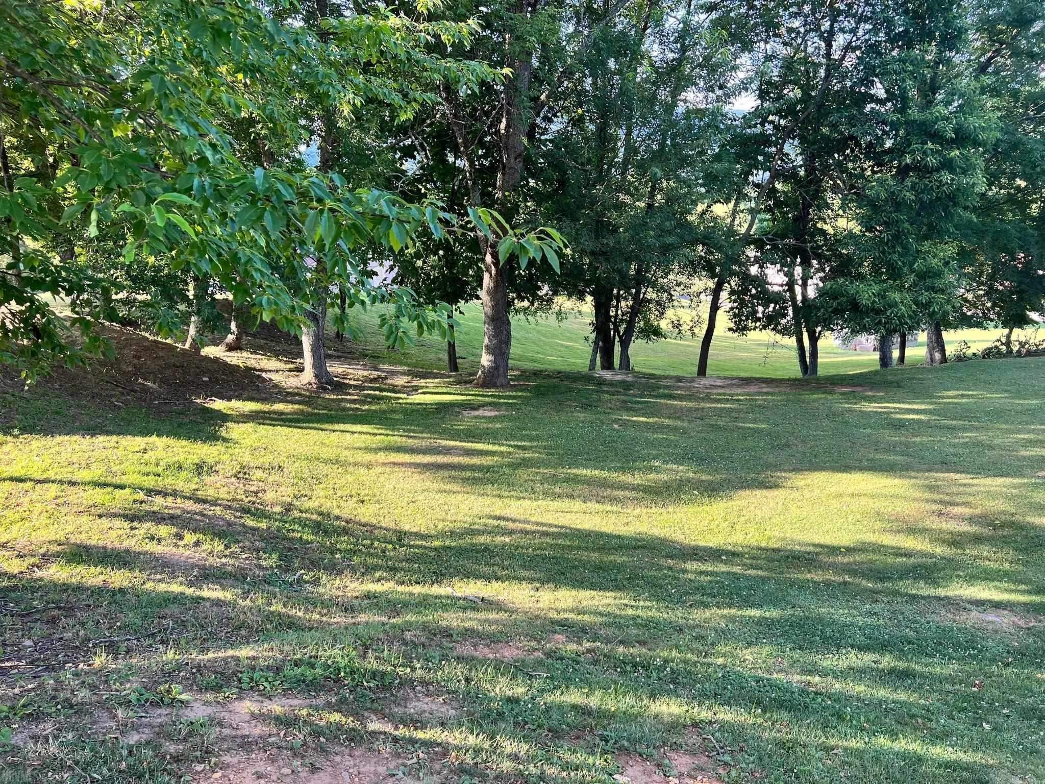 Tbd Sentinel Drive Narrows VA 24124