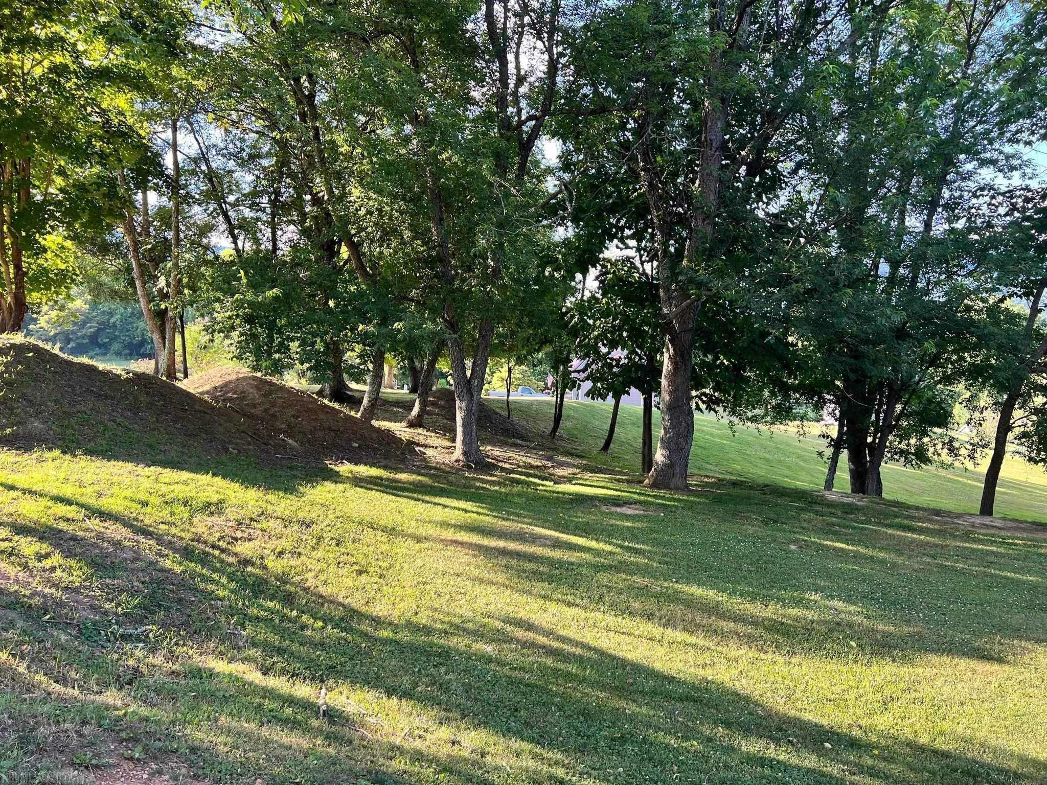 Tbd Sentinel Drive Narrows VA 24124