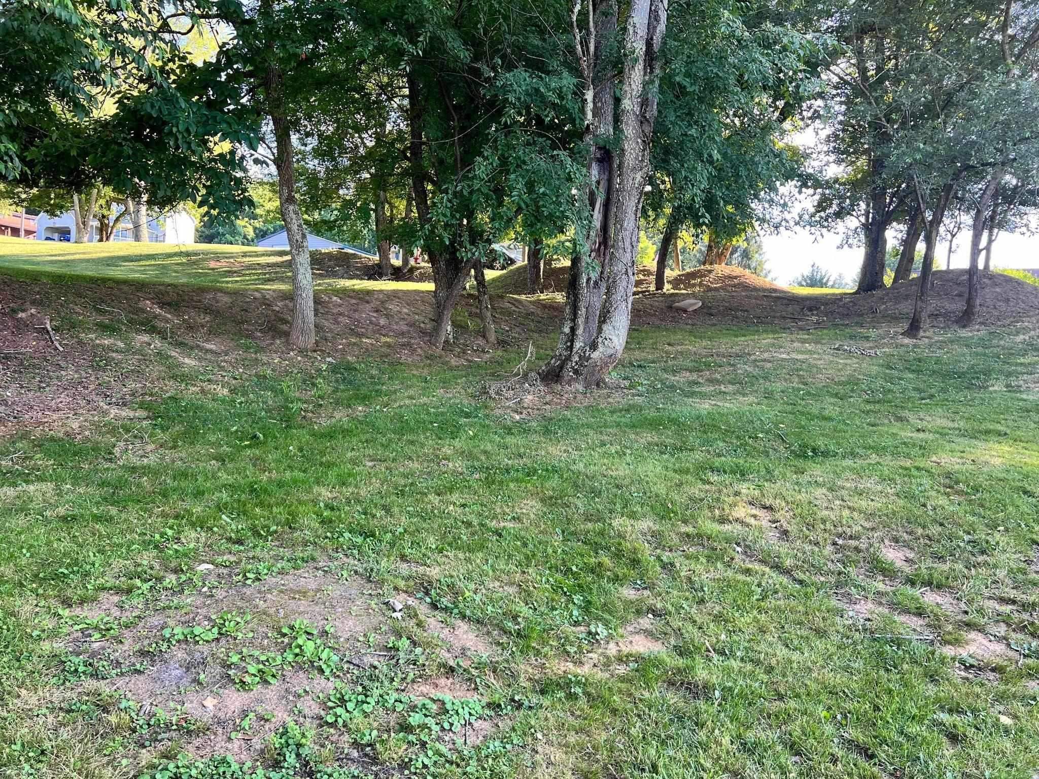 Tbd Sentinel Drive Narrows VA 24124