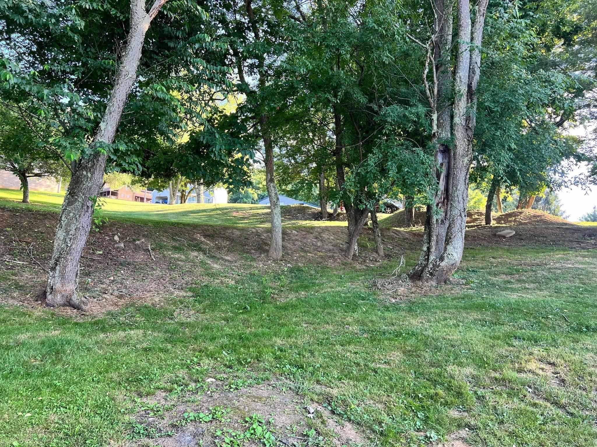 Tbd Sentinel Drive Narrows VA 24124