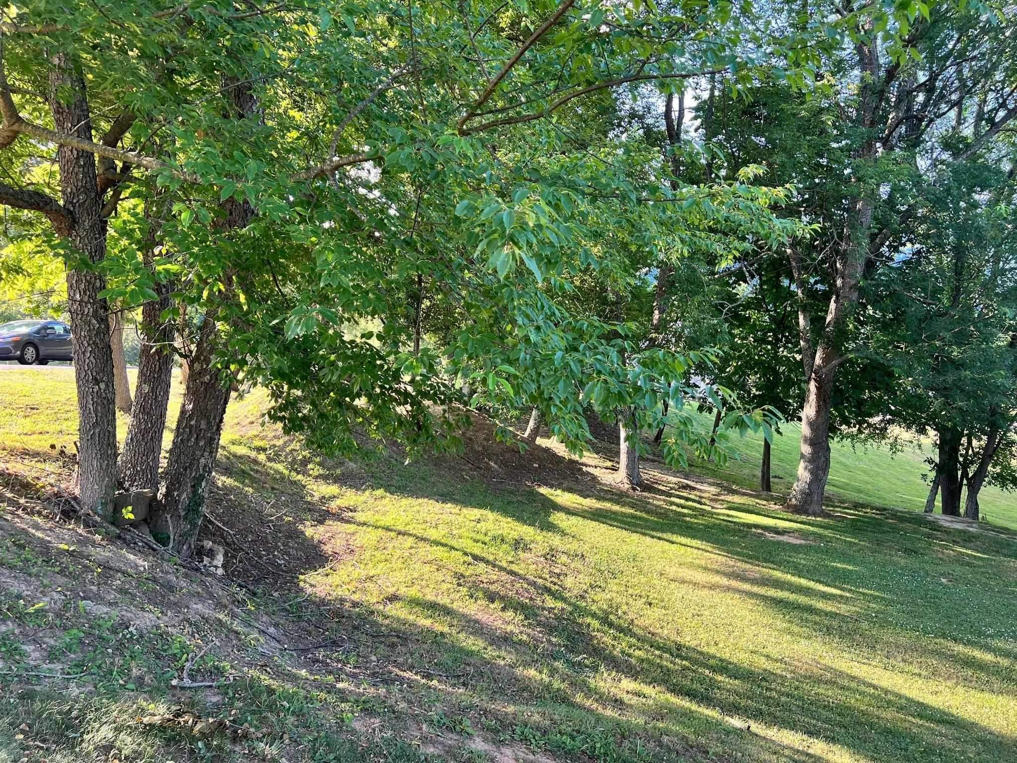 Tbd Sentinel Drive Narrows VA 24124