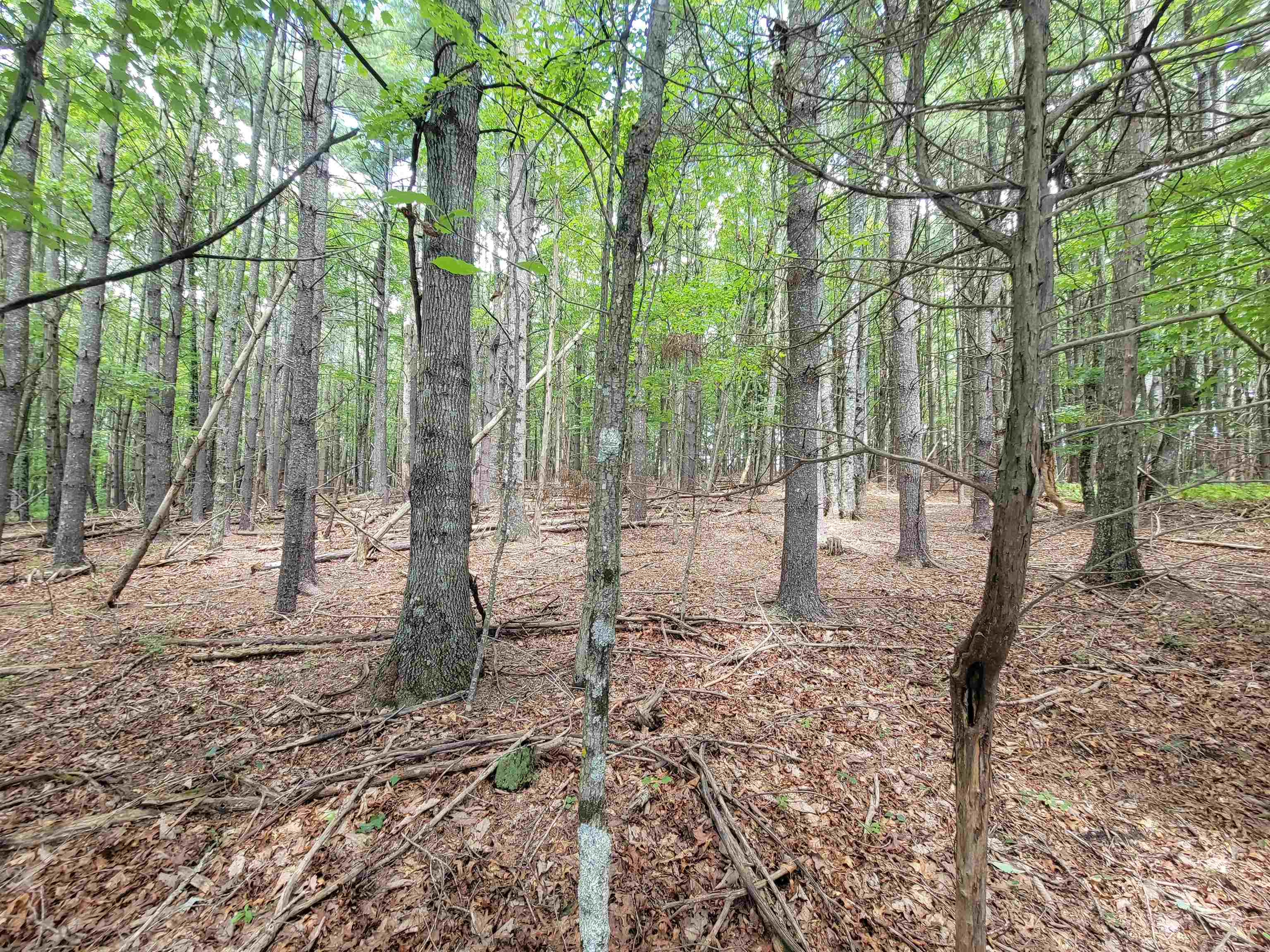 Tbd Coulson Church Road Austinville VA 24312