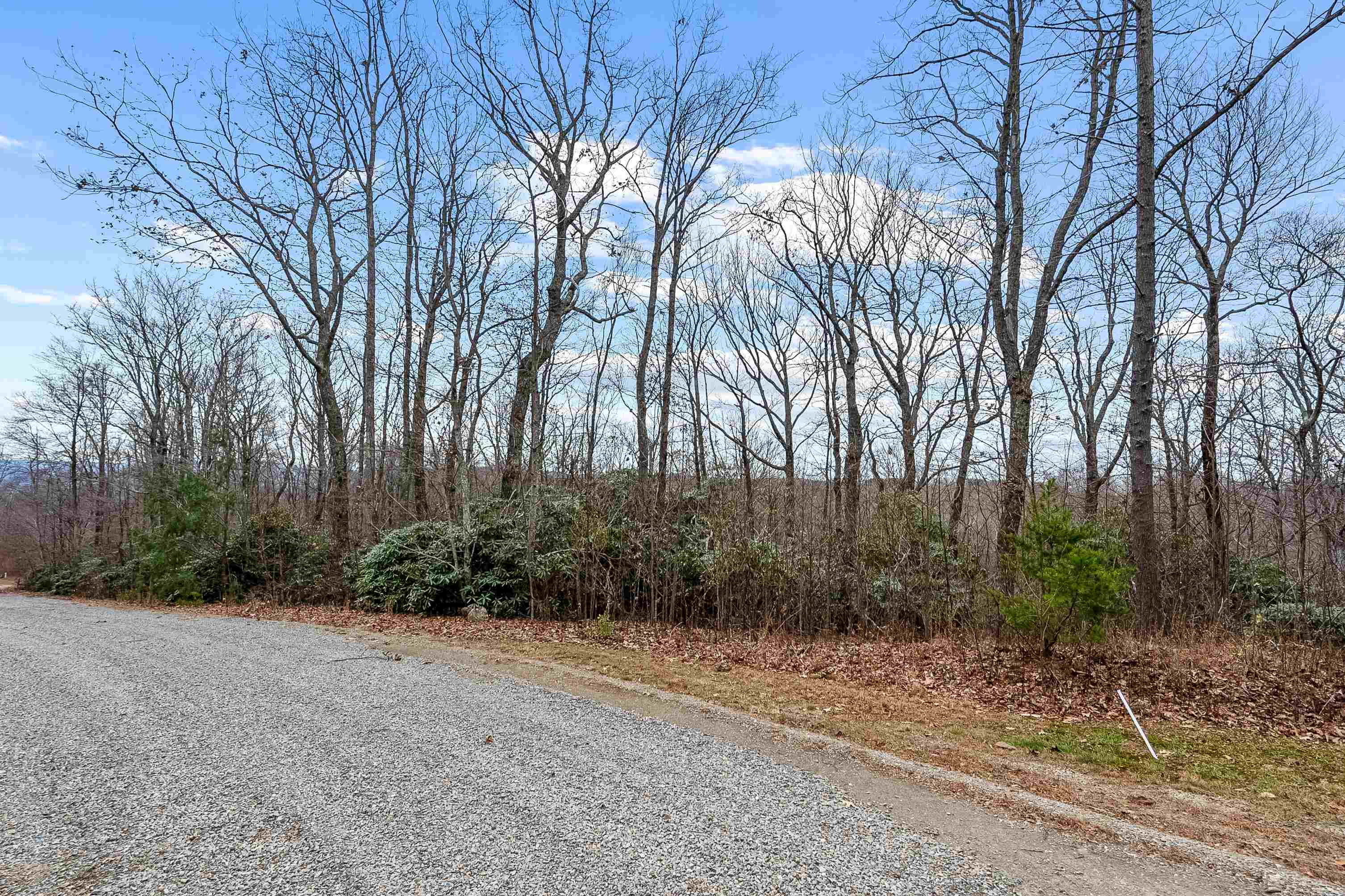 Lot 23 W Pheasant Chase None Ararat VA 24053
