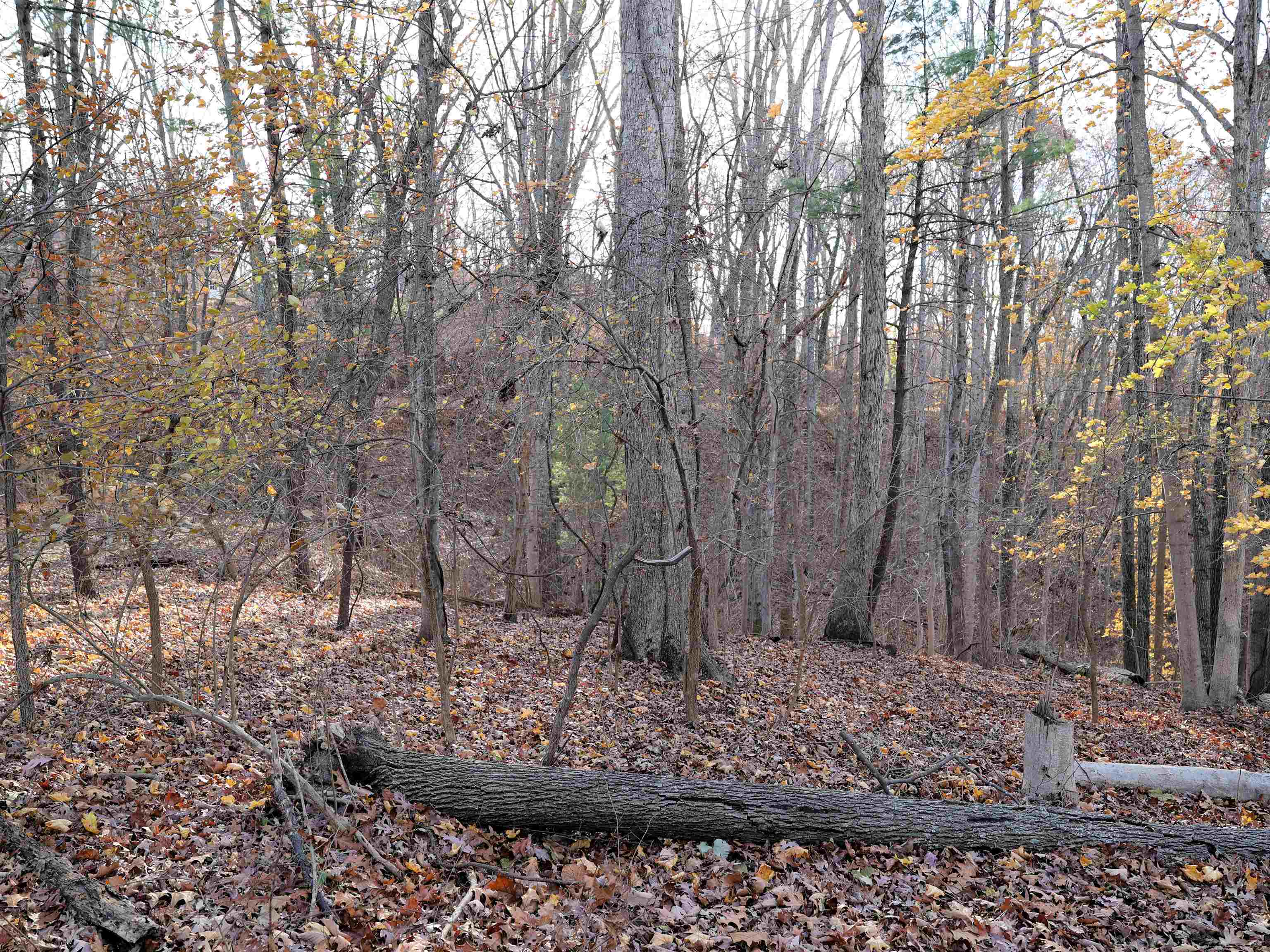 Tbd Overlook Lane Radford VA 24141