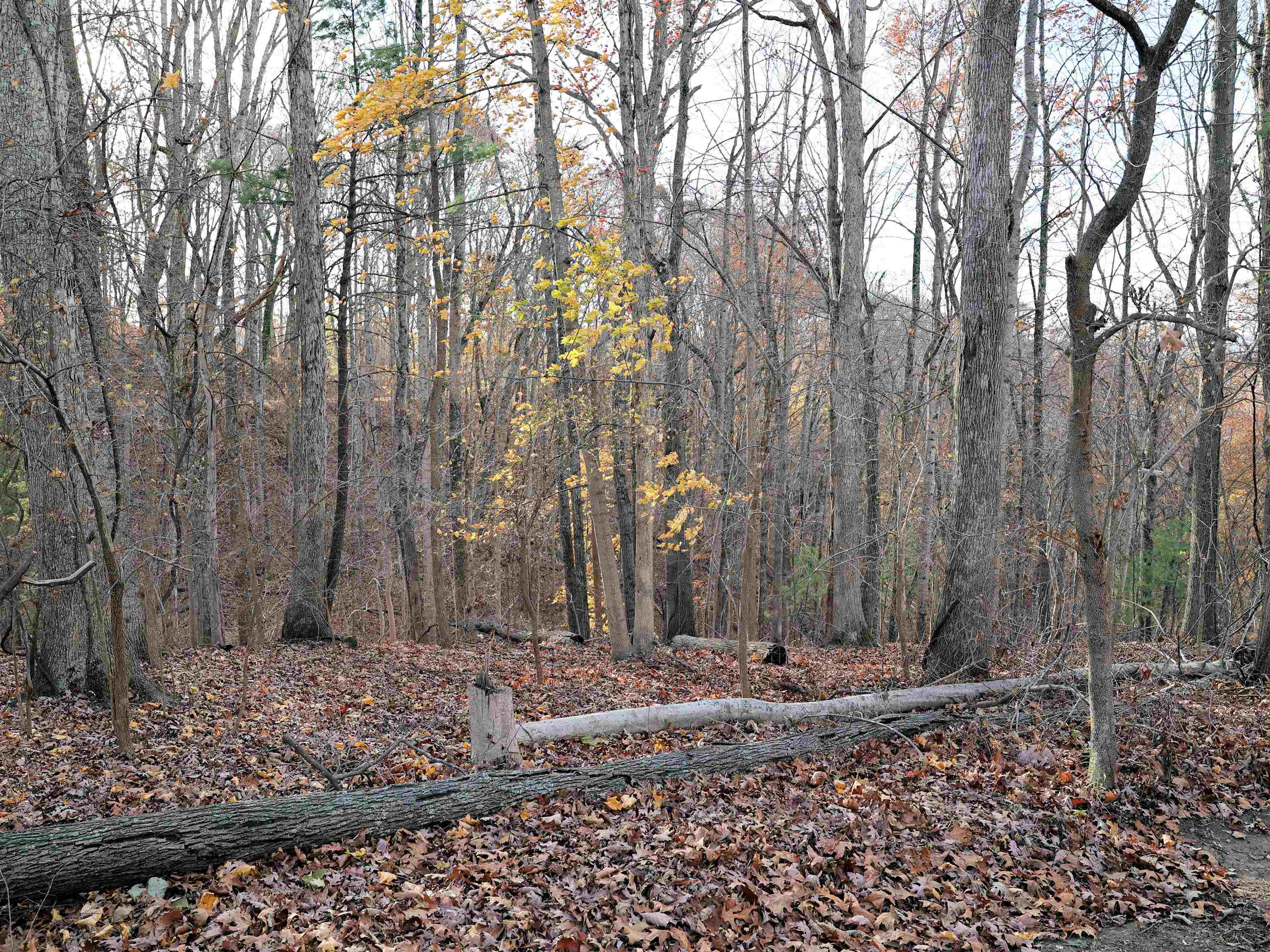 Tbd Overlook Lane Radford VA 24141
