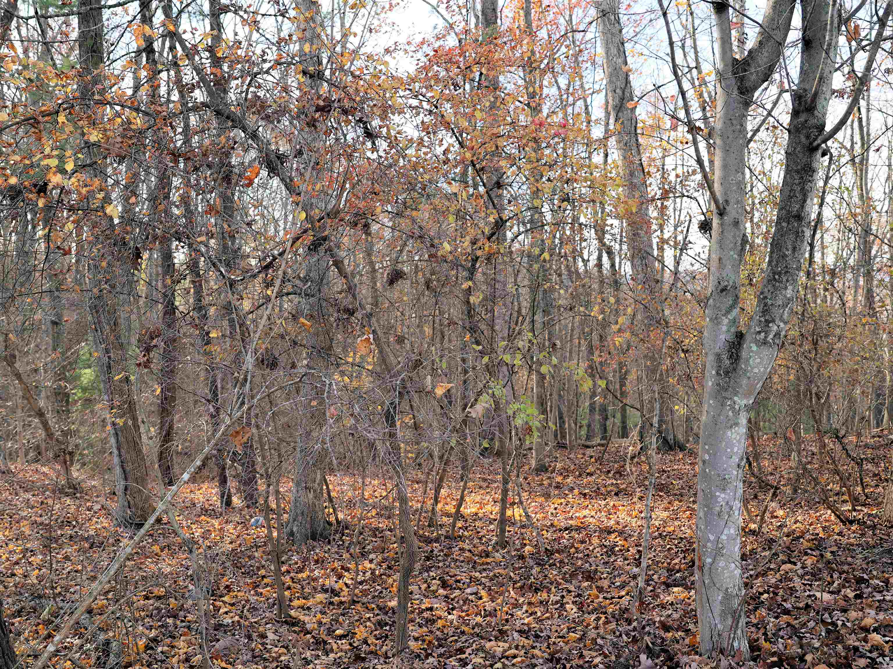 Tbd Overlook Lane Radford VA 24141