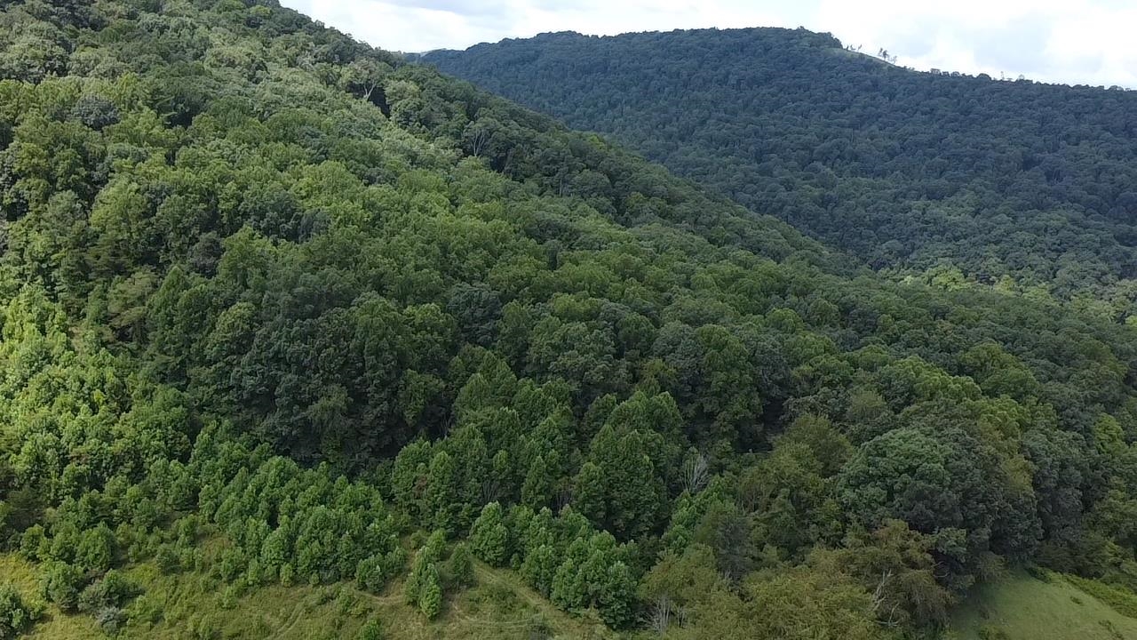 0 Scenic Drive Rich Creek VA 24147