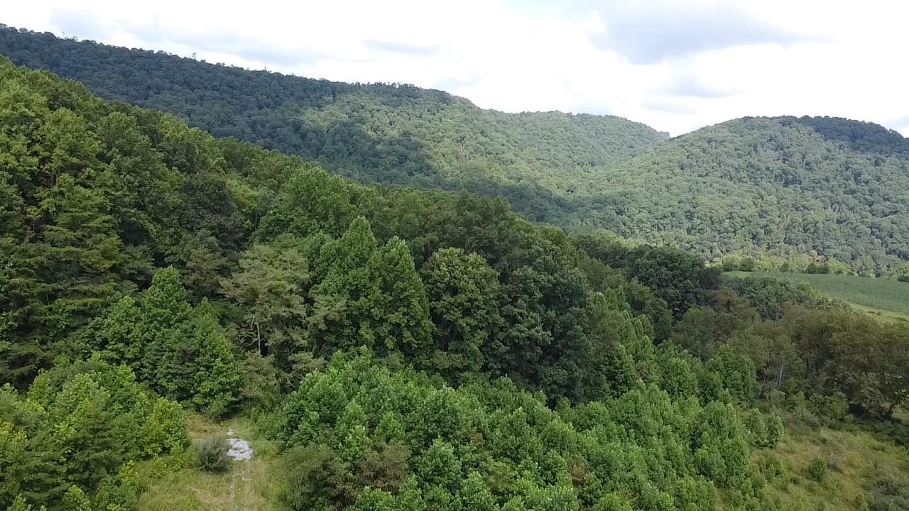 0 Scenic Drive Rich Creek VA 24147
