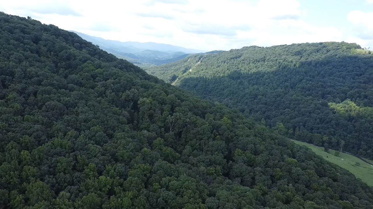 0 Scenic Drive Rich Creek VA 24147