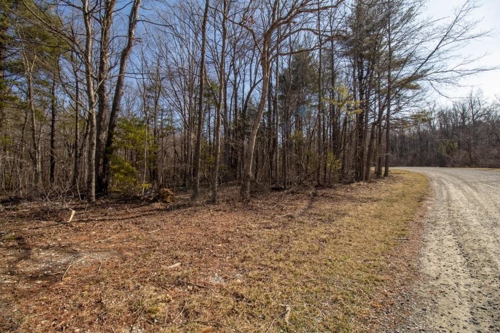 Tbd Spring Lake Drive Copper Hill VA 24079