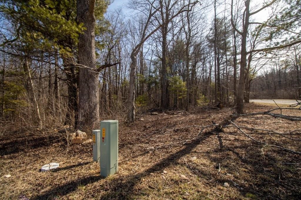 Tbd Spring Lake Drive Copper Hill VA 24079