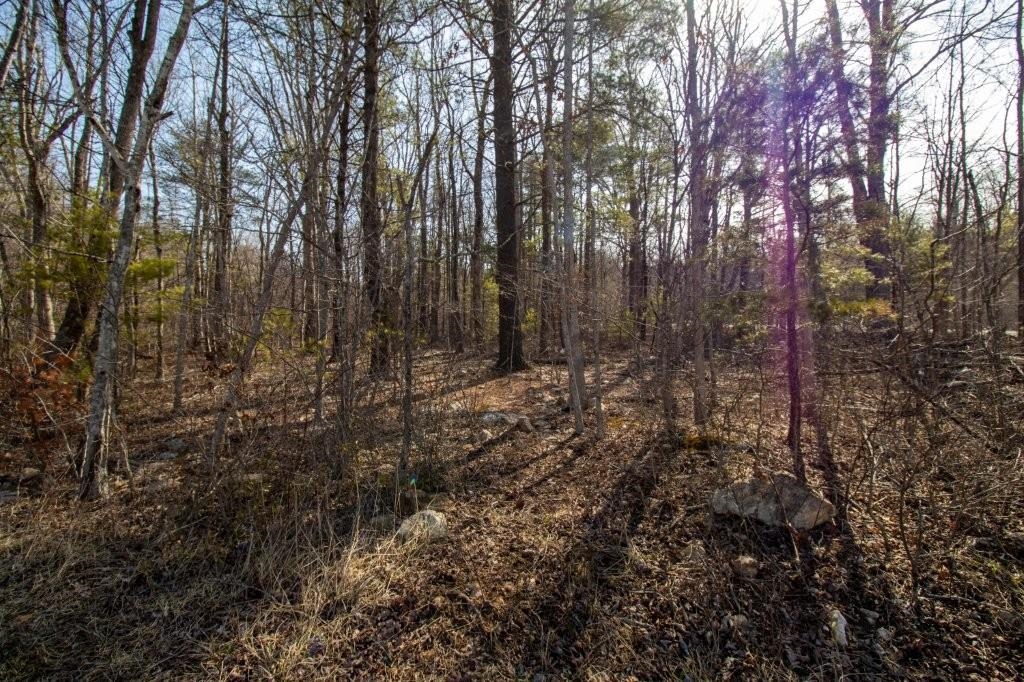 Tbd Spring Lake Drive Copper Hill VA 24079