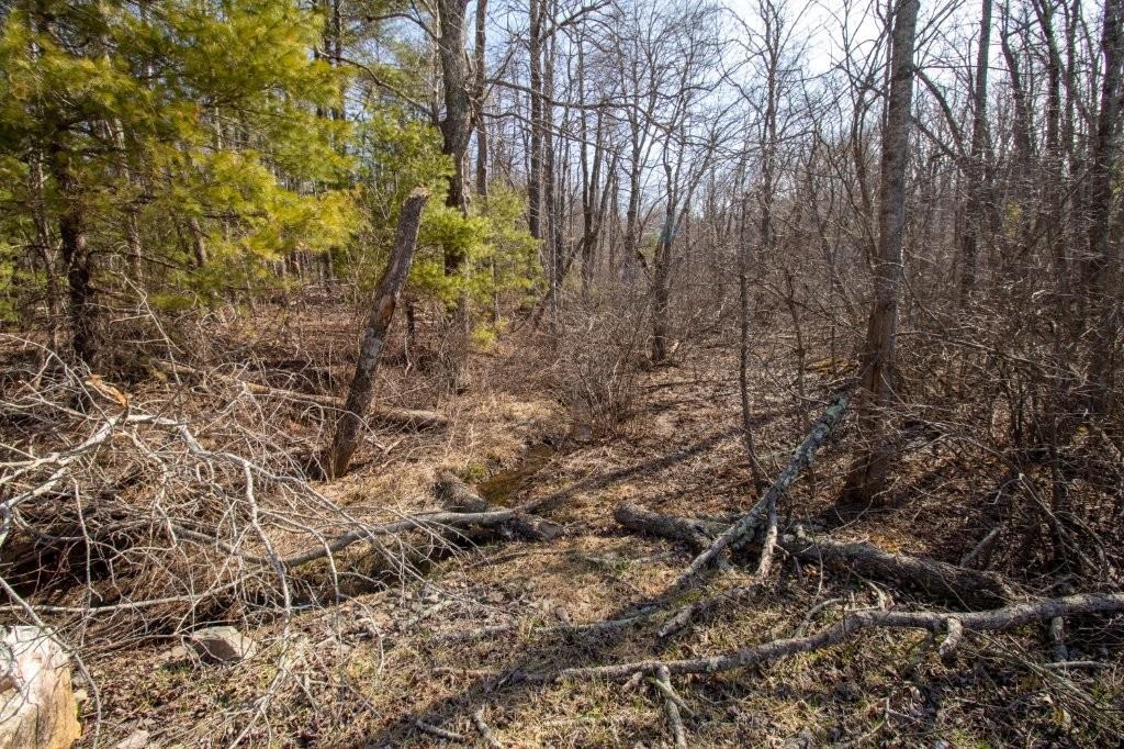 Tbd Spring Lake Drive Copper Hill VA 24079