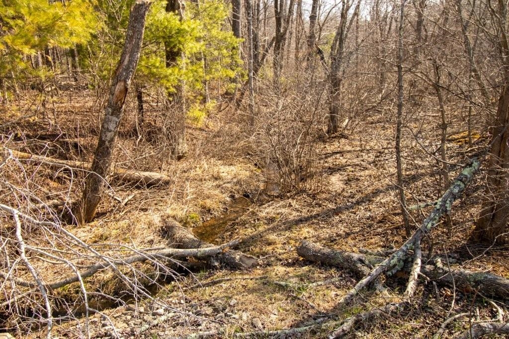 Tbd Spring Lake Drive Copper Hill VA 24079