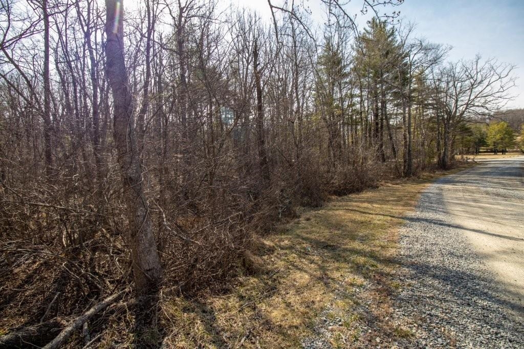 Tbd Spring Lake Drive Copper Hill VA 24079