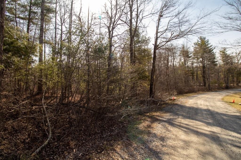 Tbd Spring Lake Drive Copper Hill VA 24079