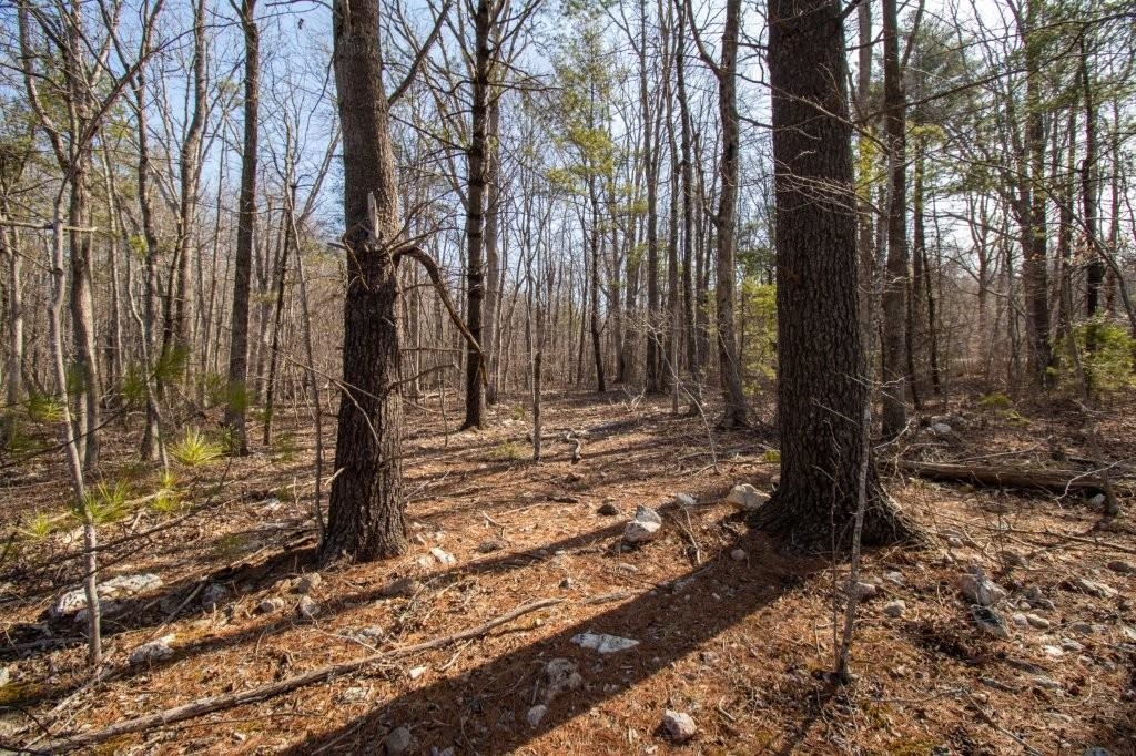 Tbd Spring Lake Drive Copper Hill VA 24079