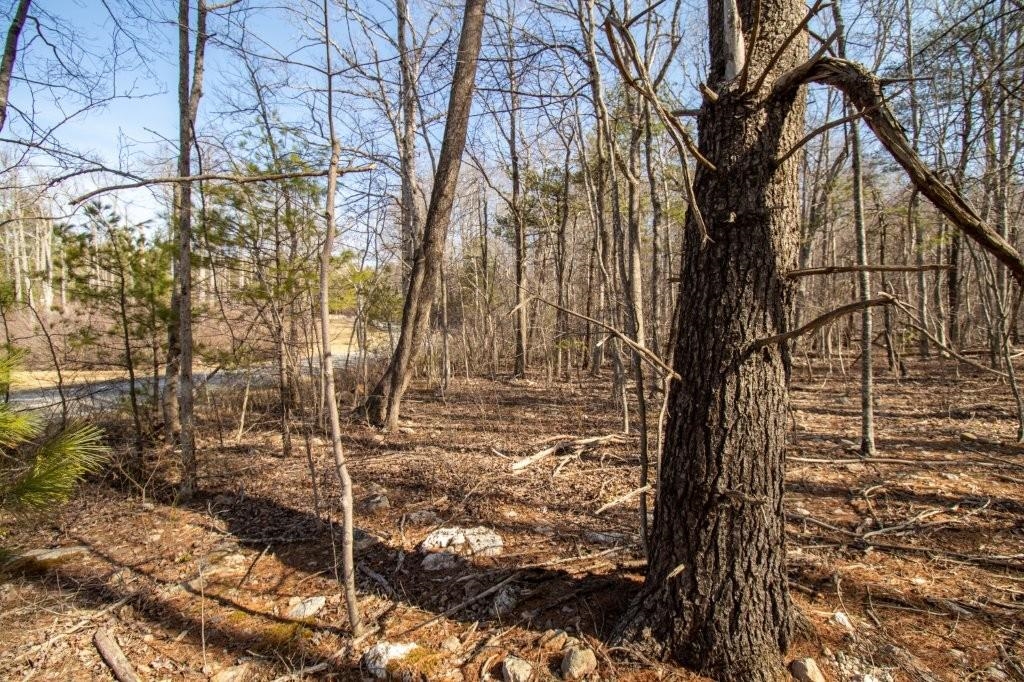 Tbd Spring Lake Drive Copper Hill VA 24079