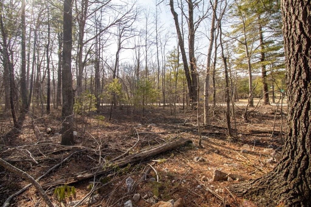 Tbd Spring Lake Drive Copper Hill VA 24079