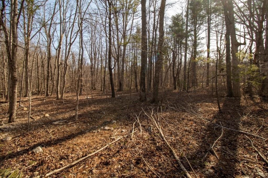 Tbd Spring Lake Drive Copper Hill VA 24079