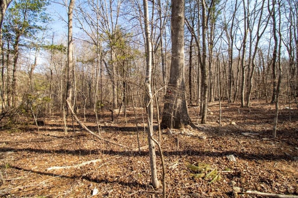 Tbd Spring Lake Drive Copper Hill VA 24079