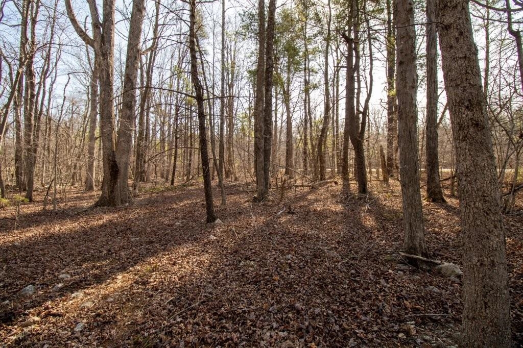 Tbd Spring Lake Drive Copper Hill VA 24079