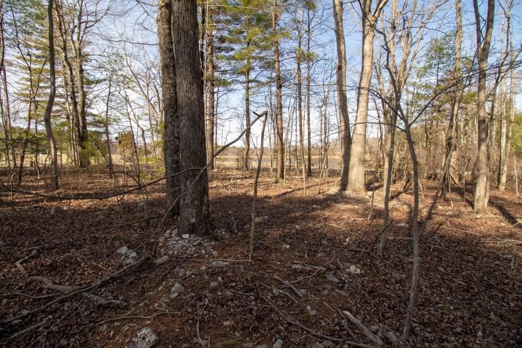 Tbd Spring Lake Drive Copper Hill VA 24079