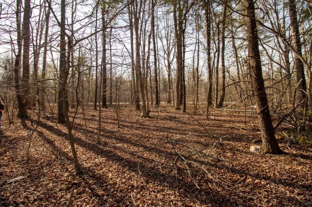 Tbd Spring Lake Drive Copper Hill VA 24079