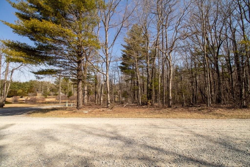 Tbd Spring Lake Drive Copper Hill VA 24079