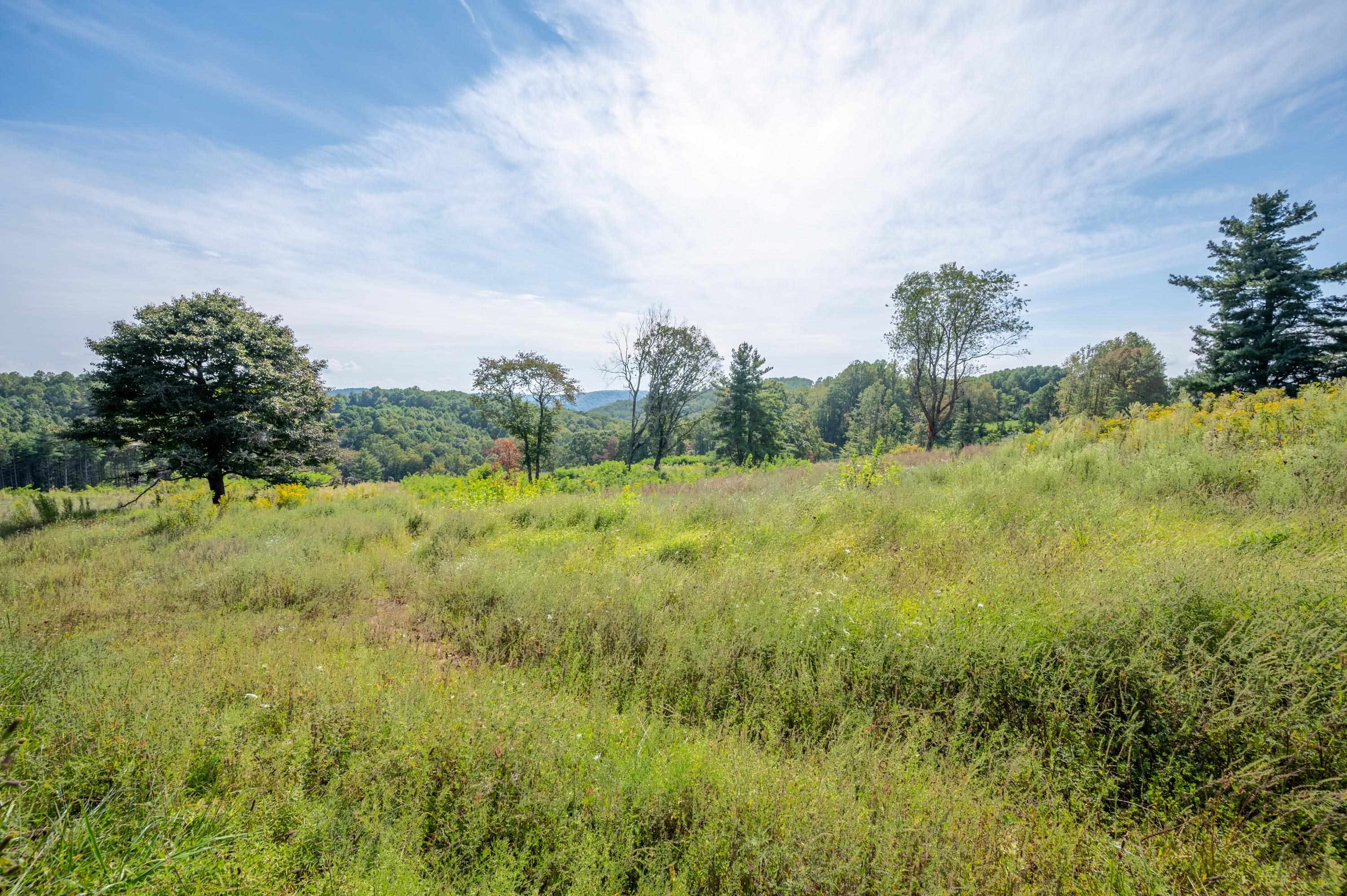 0 Pinnacle Lane Meadows Of Dan VA 24120