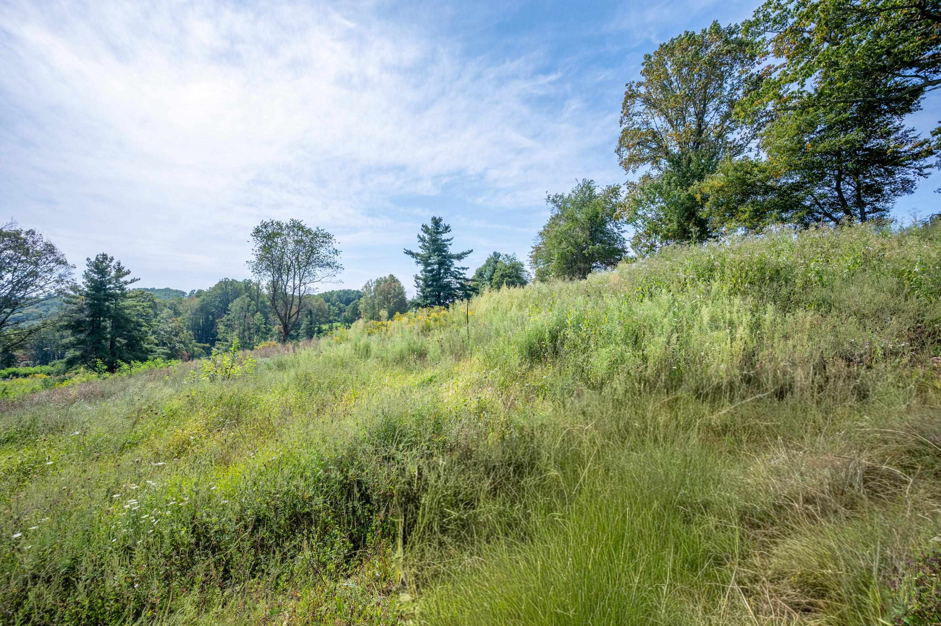 0 Pinnacle Lane Meadows Of Dan VA 24120