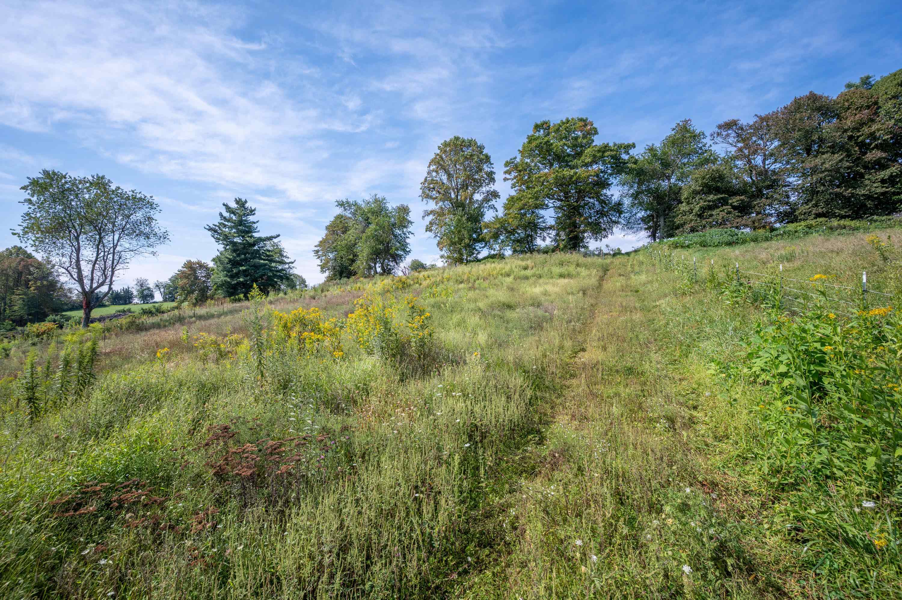 0 Pinnacle Lane Meadows Of Dan VA 24120