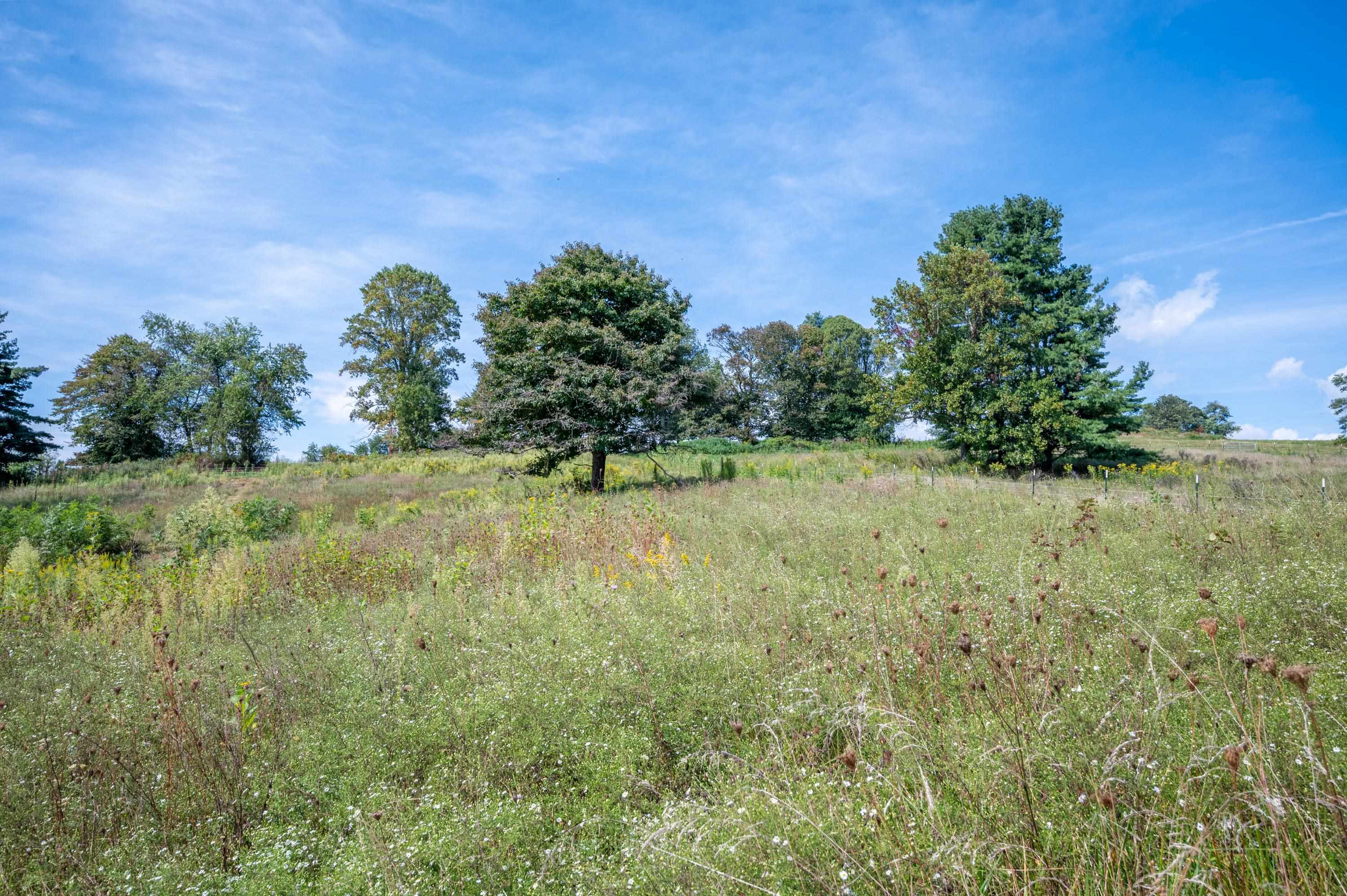 0 Pinnacle Lane Meadows Of Dan VA 24120