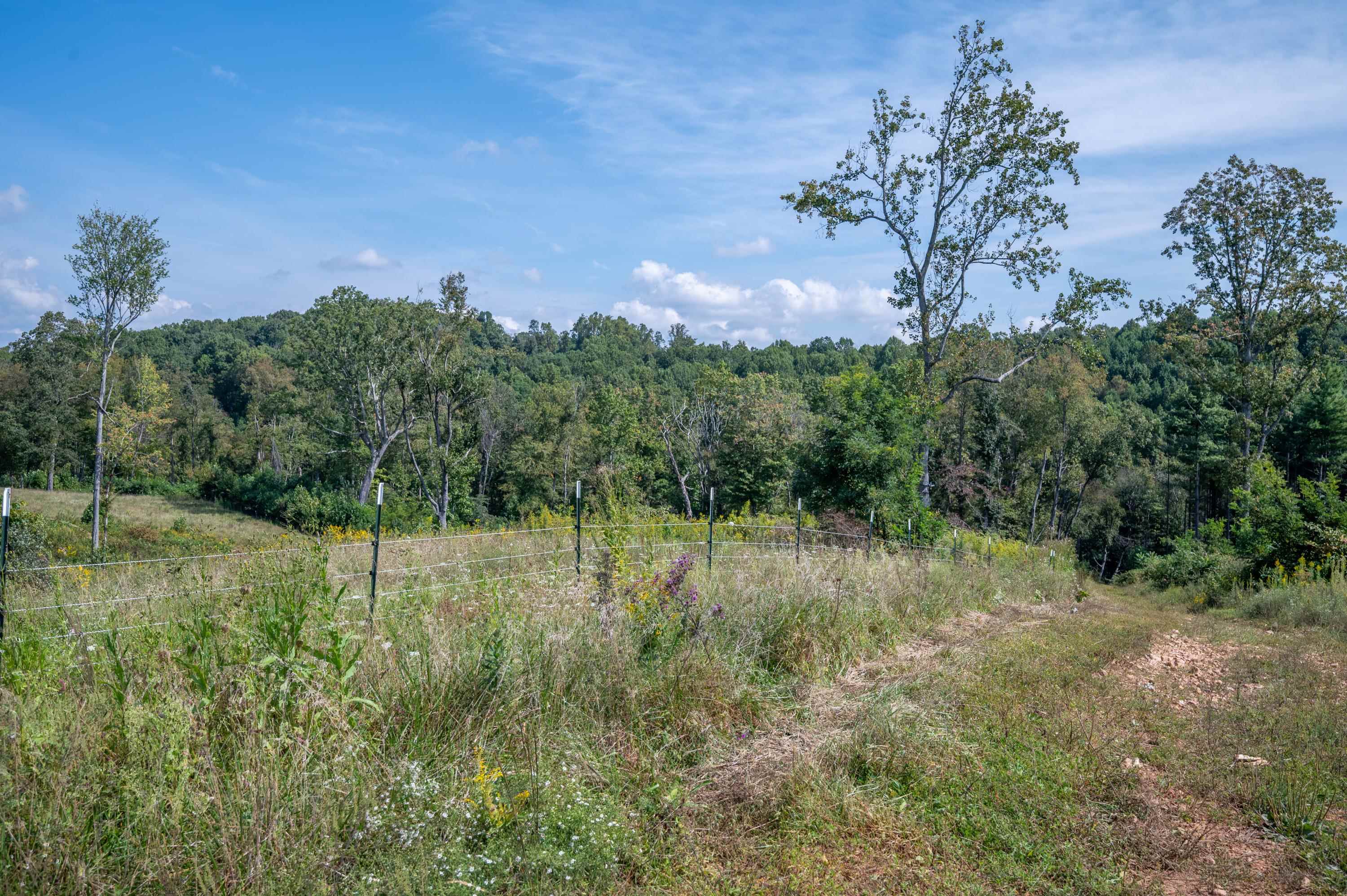 0 Pinnacle Lane Meadows Of Dan VA 24120