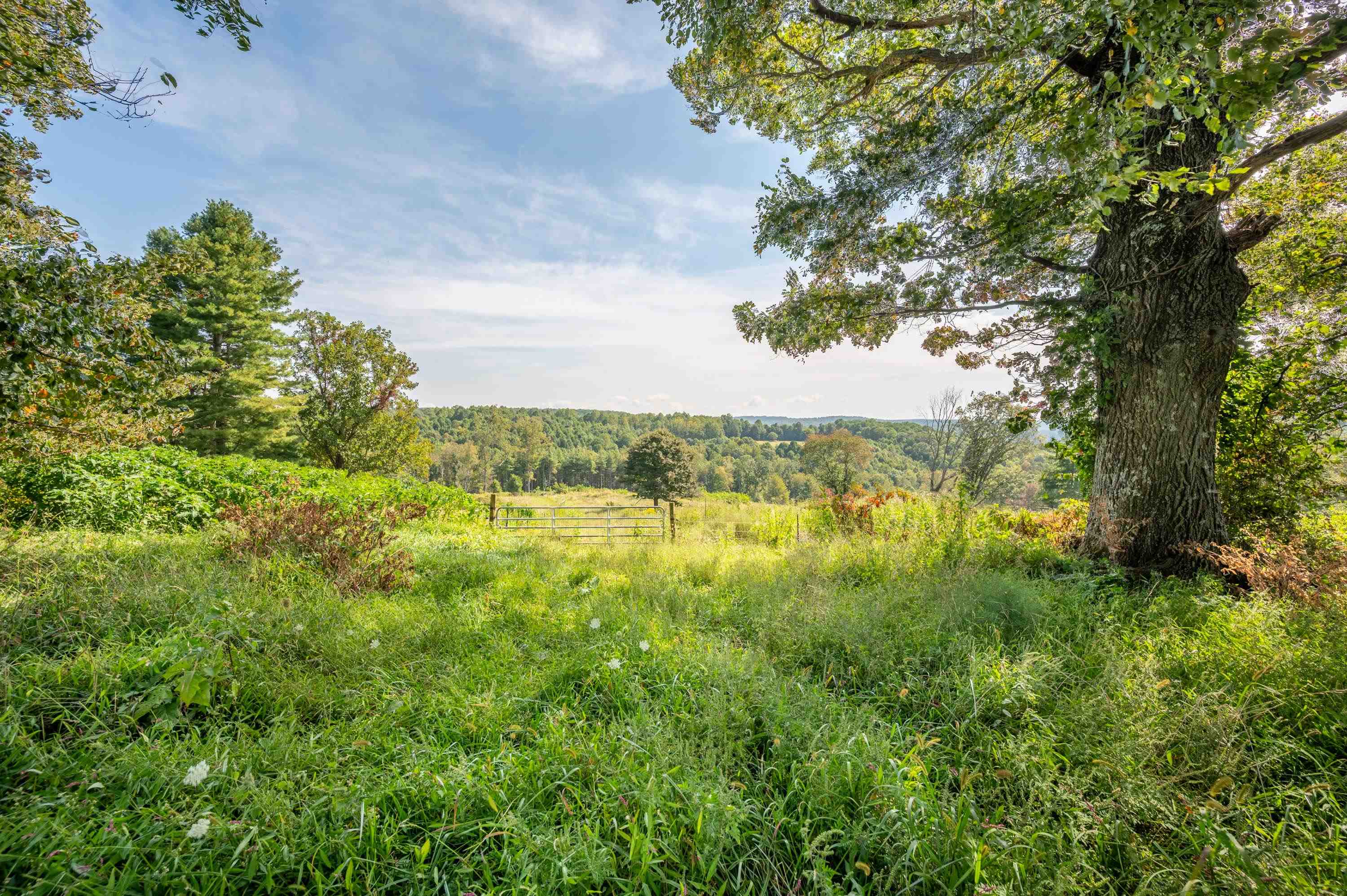 0 Pinnacle Lane Meadows Of Dan VA 24120