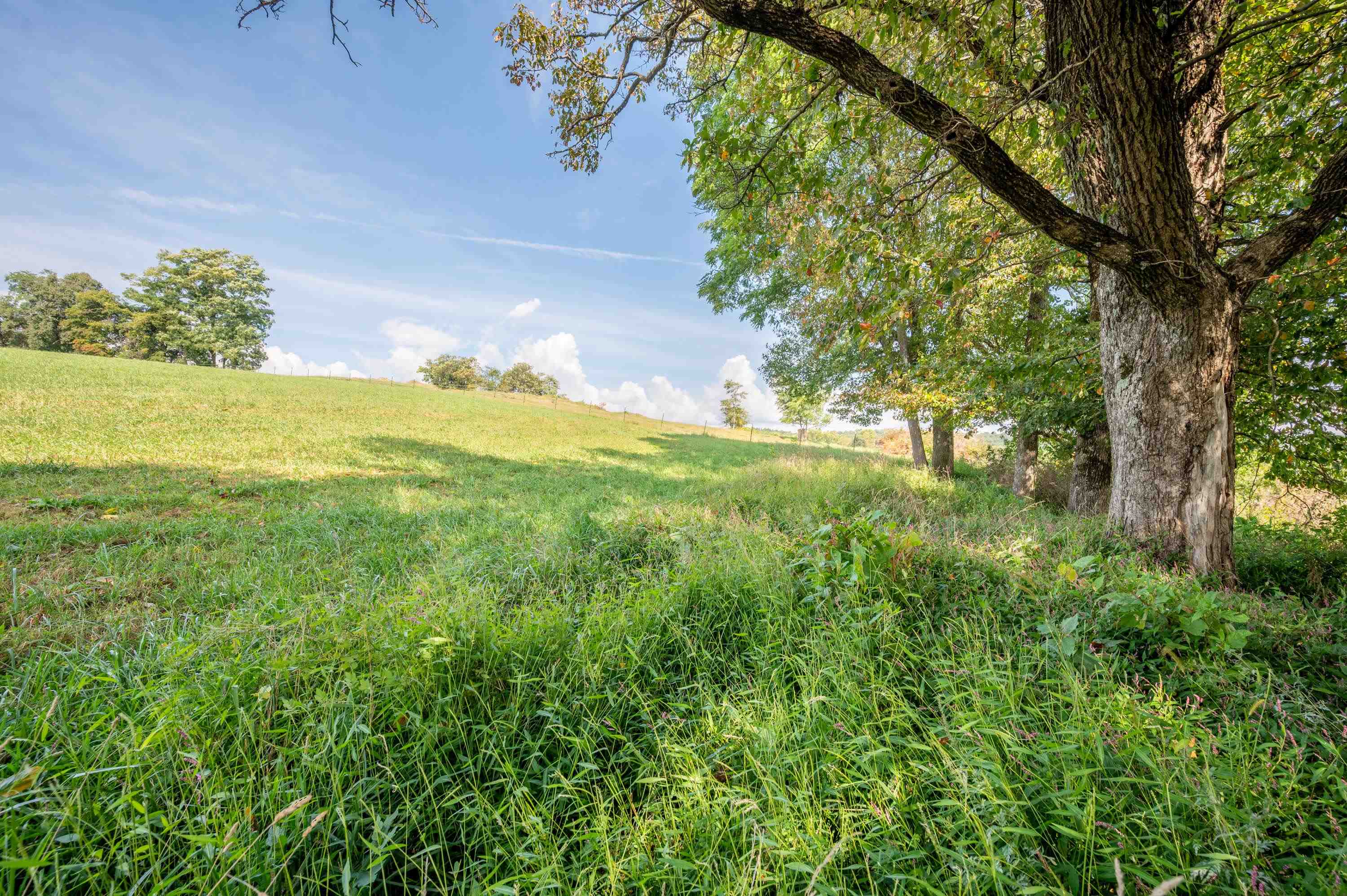 0 Pinnacle Lane Meadows Of Dan VA 24120