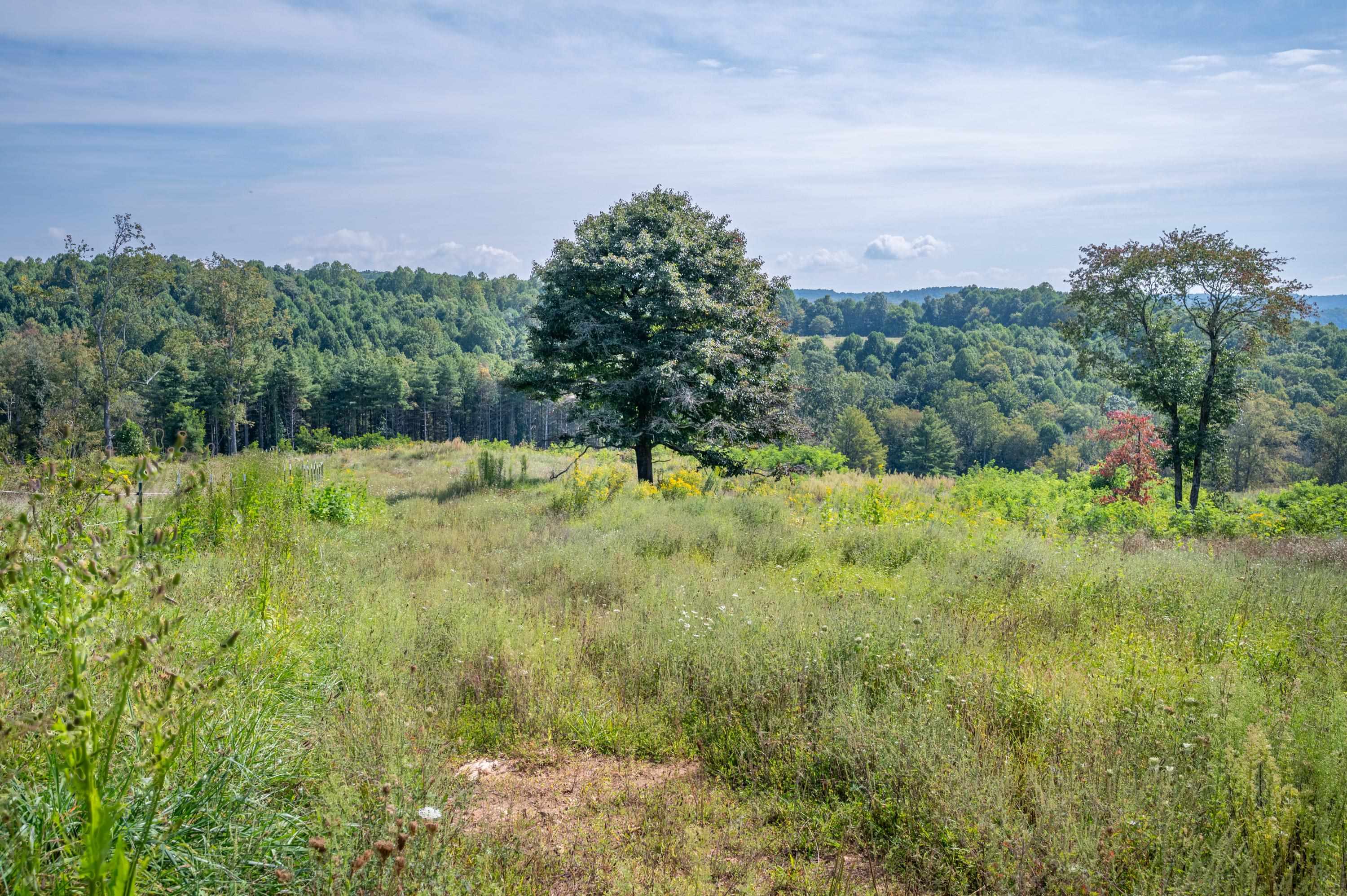 0 Pinnacle Lane Meadows Of Dan VA 24120