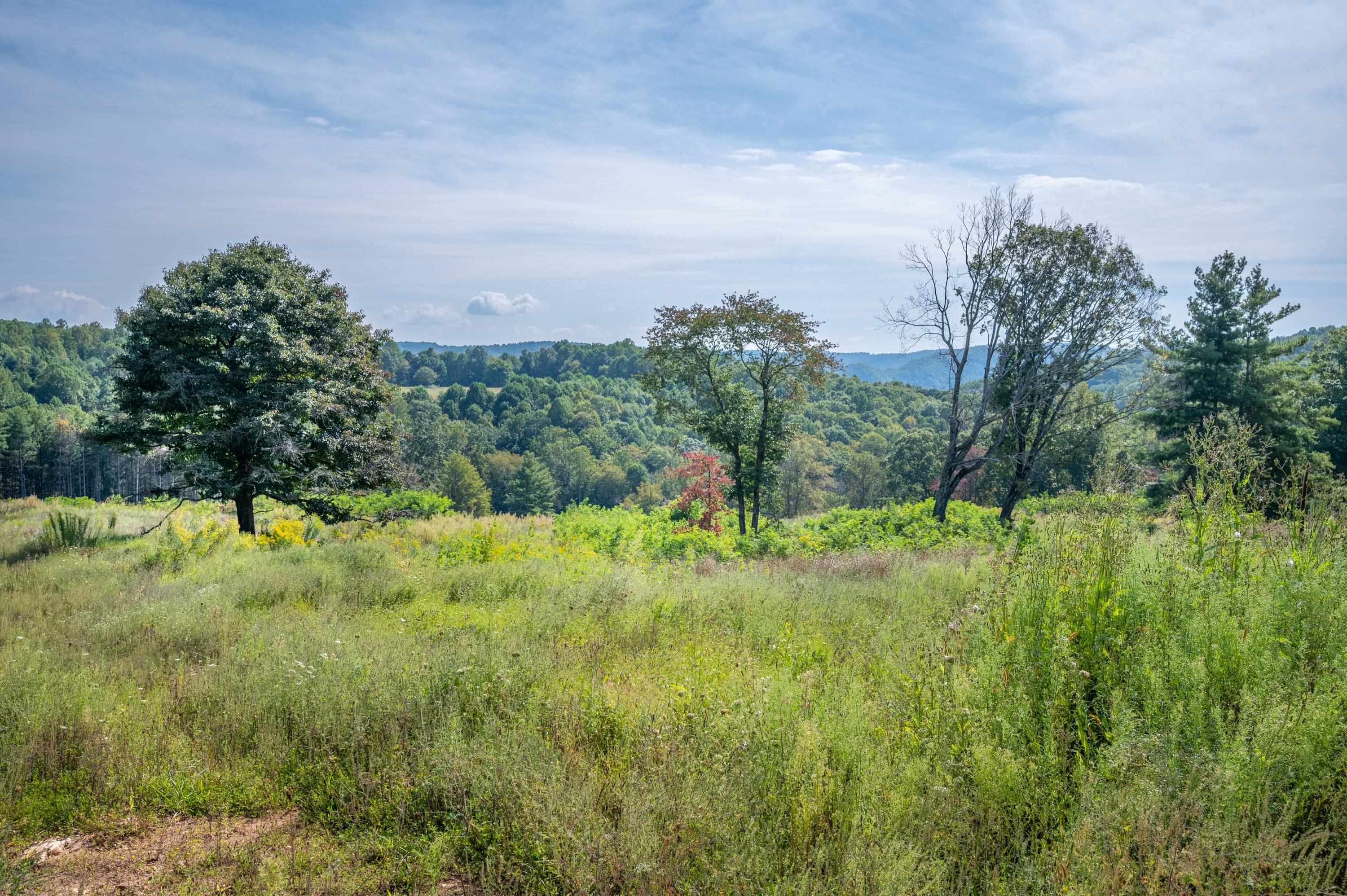 0 Pinnacle Lane Meadows Of Dan VA 24120