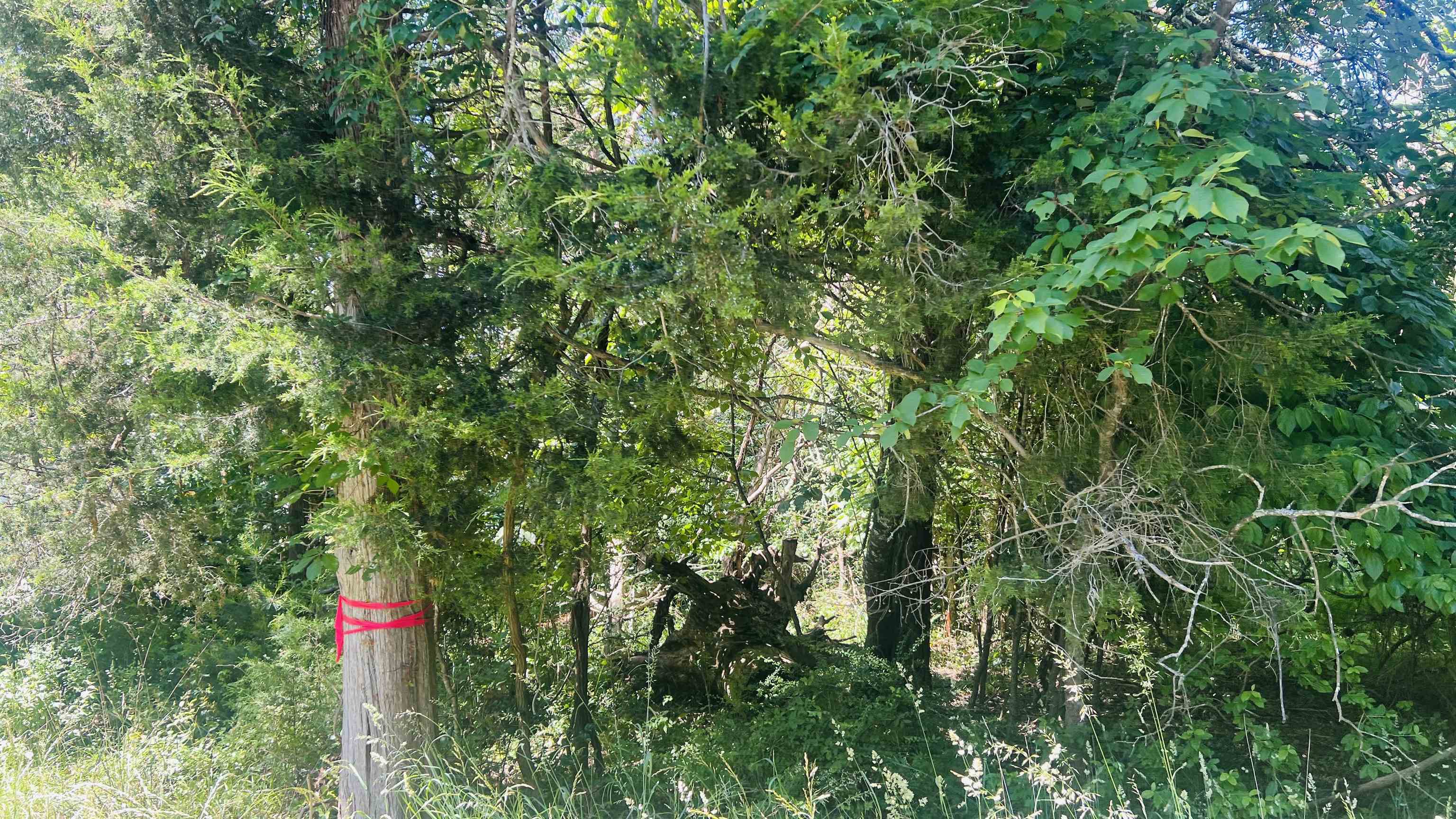 Lot 230 Appalachian Road Radford VA 24141