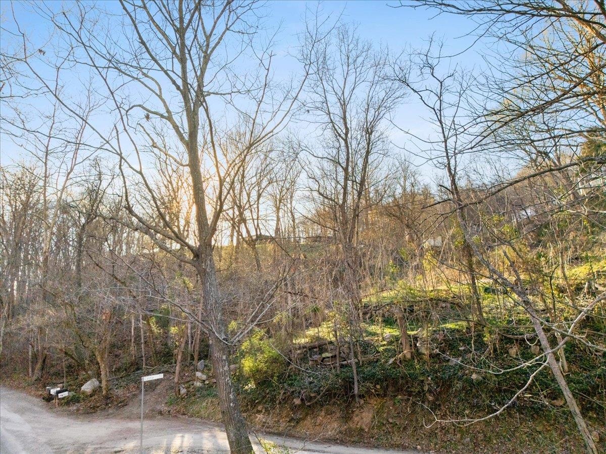 Tbd Castle Road Christiansburg VA 24073