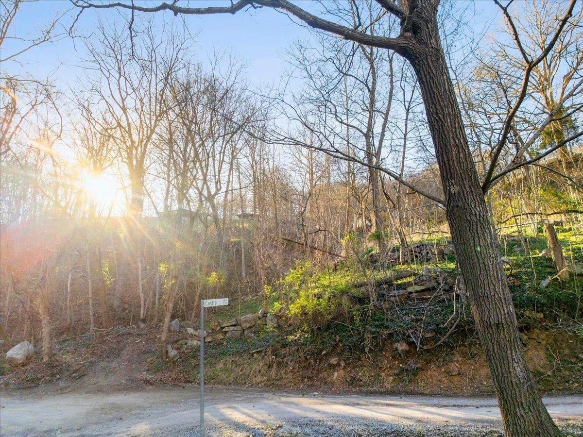 Tbd Castle Road Christiansburg VA 24073