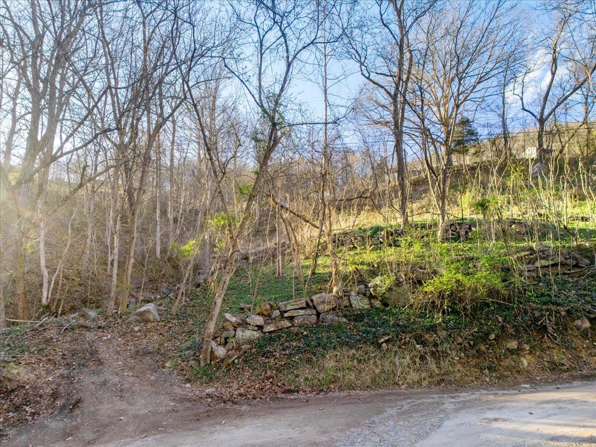 Tbd Castle Road Christiansburg VA 24073